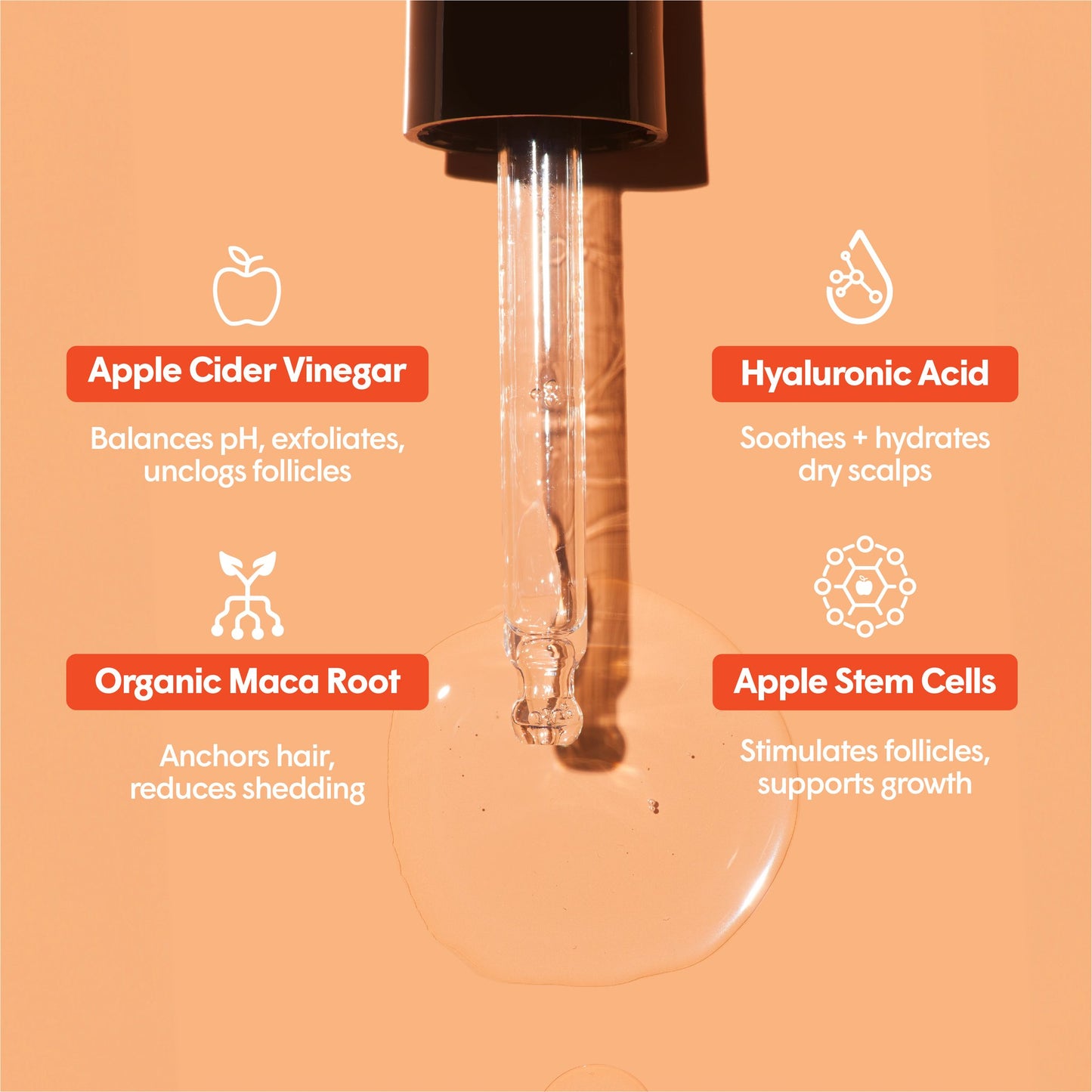 The 90 Day Serum Set