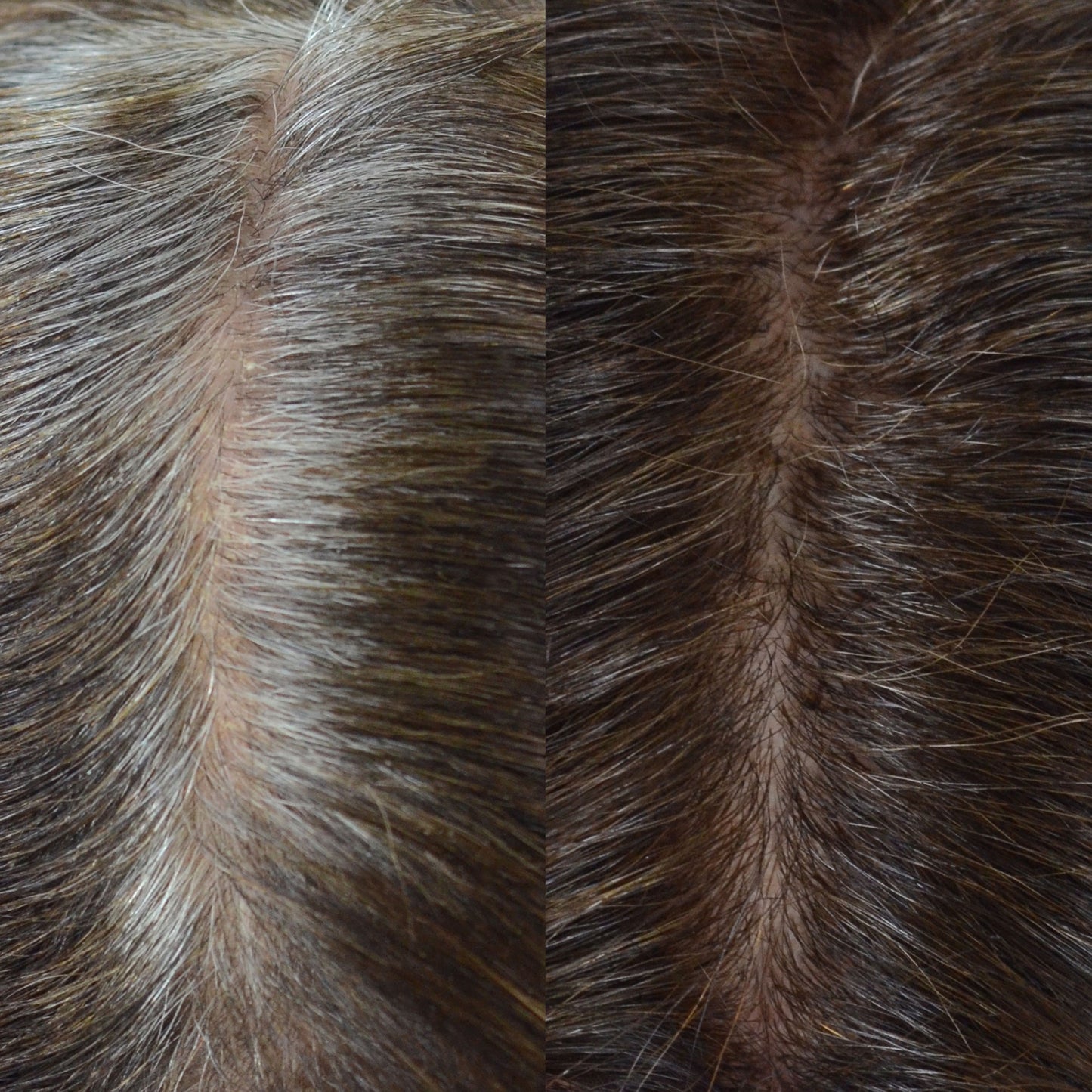 Medium Brown