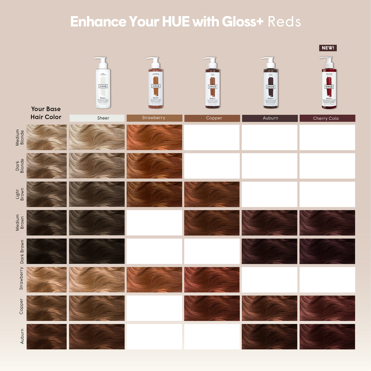 Gloss+