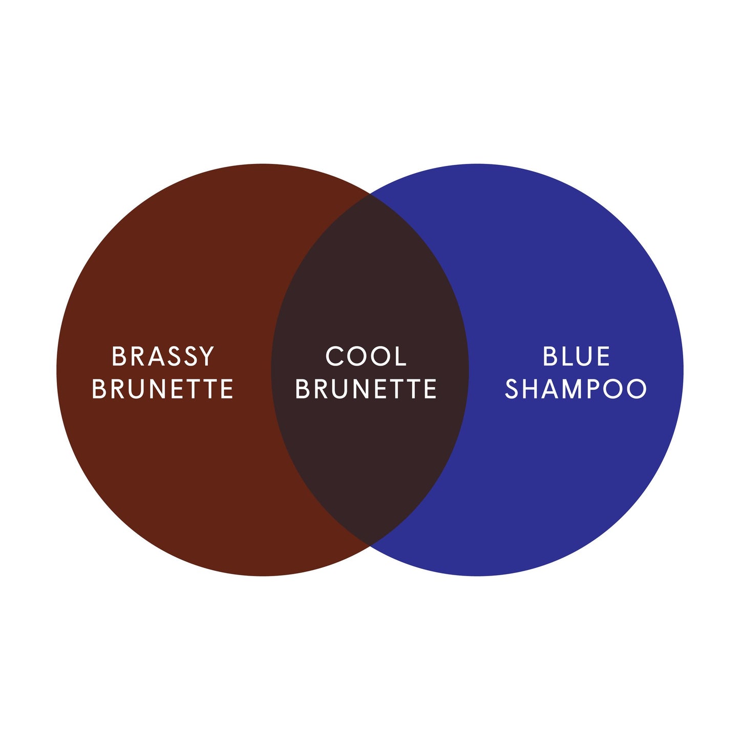 The Cool Brunette Set